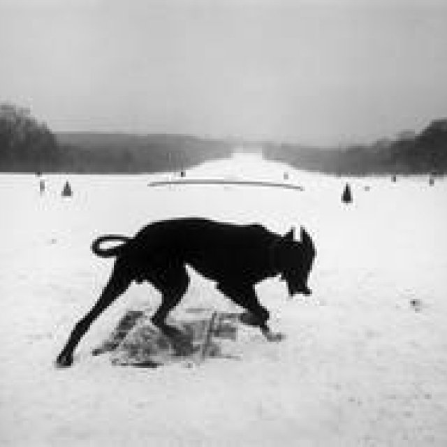 ART｜東京国立近代美術館で『ジョセフ・クーデルカ展』