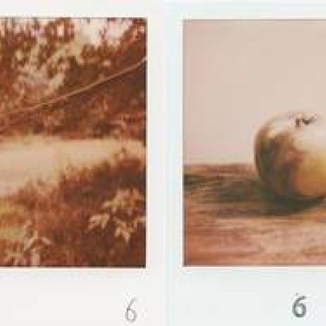 ART | The Photo Exhibition 'solo six' Featuring Six Photographers