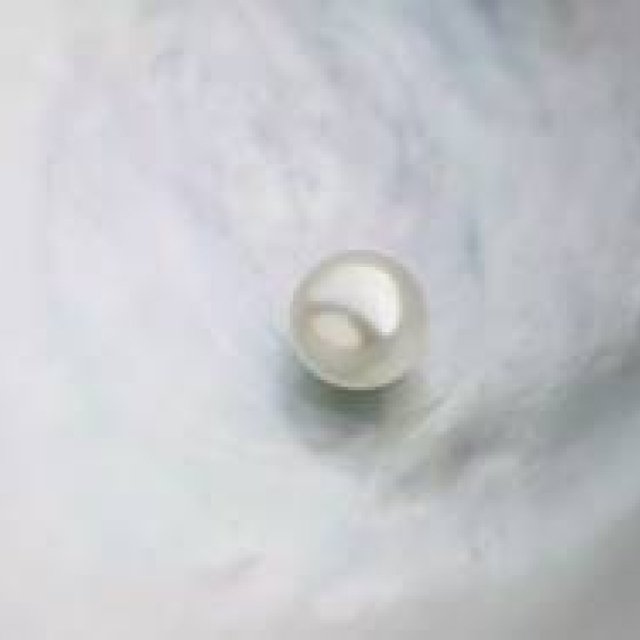 MIKIMOTO | "The Wonder of Pearls: A Scientific Exploration" Event