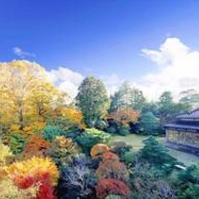 EAT | "Tsuji Teien ~Former Maeda Clan Chief Retainer Yokoyama Residence Guest House~," a Private Dining Venue for One Group Per Day