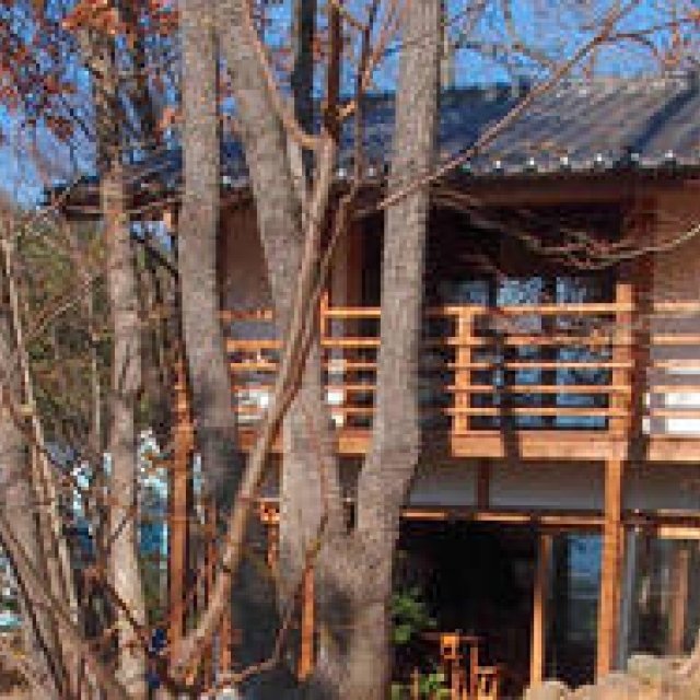 Feature: Bringing Permaculture Design into Daily Life