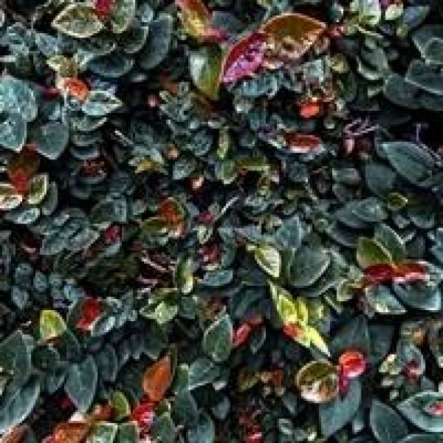ART | Tatsuya Suzuki Photography Exhibition “Patterns in Discontinuity”