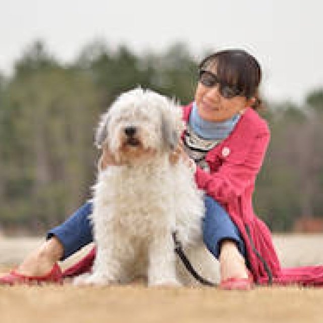 Time with the Beetle Cabriolet and a Beloved Dog | Volkswagen
