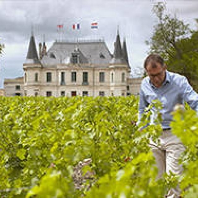 MOVIE | 'The Secret of the World's Most Beautiful Bordeaux' Explores the Little-Known Realities of the Wine Business
