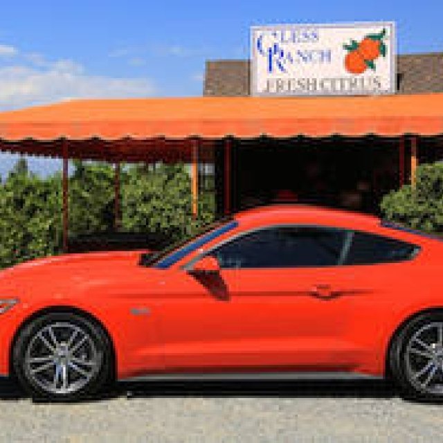 Driving the New Ford Mustang in Authentic America | Ford