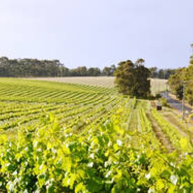 Australia: A Culinary Continent. A Journey Through Food and Wine | Western Australia: Margaret River | Feature