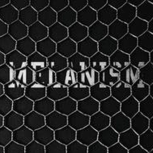 MELANISM in Black at the POOL aoyama