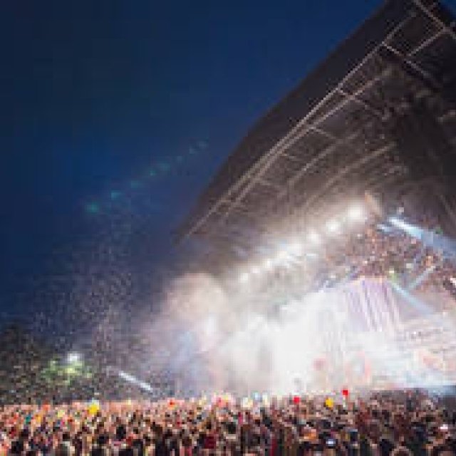 大人が楽しめる夏の音楽フェスティバル 2015｜特集