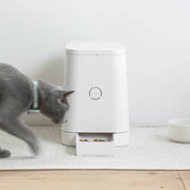 自動給餌器が好評のリン、愛猫家向け新メディア『MILL』スタート｜RINN
