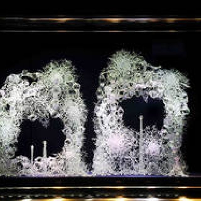 ヴァン クリーフ＆アーペル 全店舗でブライダルフェア開催｜VAN CLEEF & ARPELS