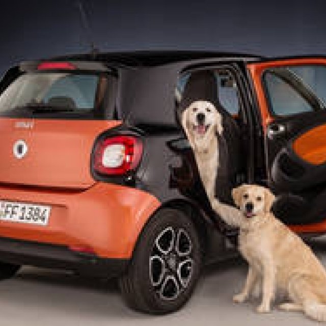 New Smart Forfour, Convenient for Travel with Dogs | smart
