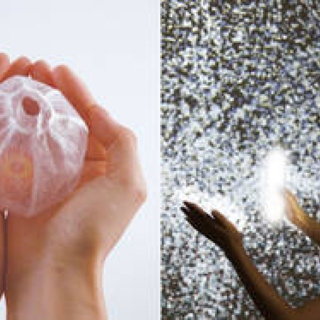 "LINK OF LIFE: Touching, Feeling, A Grand Experiment in Beauty" Exhibition Held | SHISEIDO