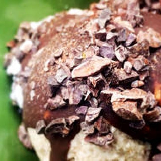 Dairy-Free, Healthy Ice Cream Rich in Raw Honey and Coconut Cream | KIPPY'S COCO-CREAM