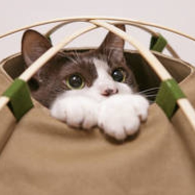 PRODUCT Tokyo Tips | October 2015: A curated selection of new product information