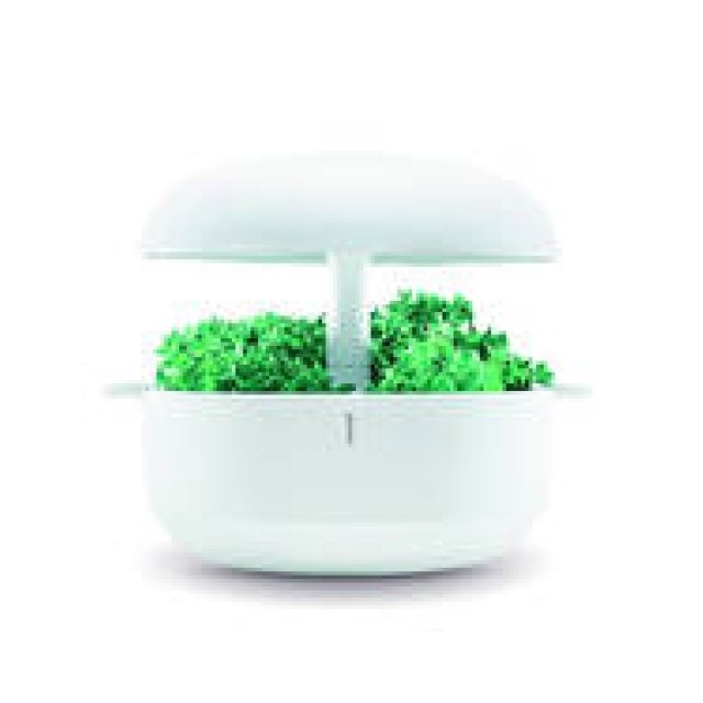 Plantui Smart Garden: Stylish Finnish Hydroponic Cultivator