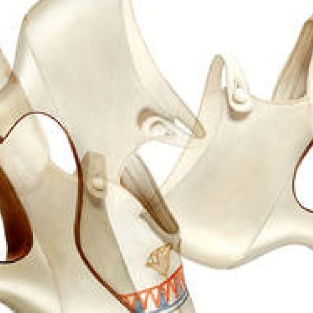 Bally Presents First-Ever Global Exhibition: 100 Years of History in 100 Pairs of Shoes | BALLY