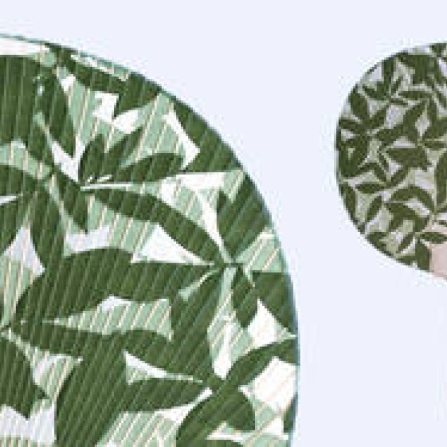  スフェラ｜Sfera｜夏のうちわの贈りもの ギャラリー