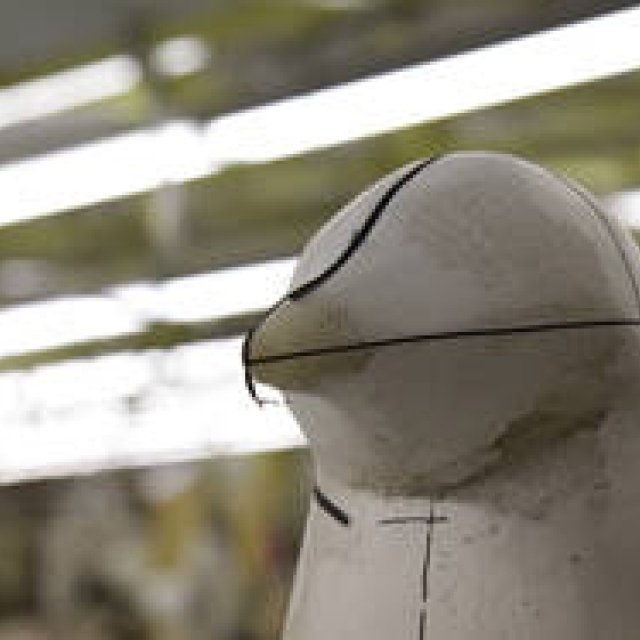  more trees｜ニッポン、アオモリ、モノづくり　三陽商会とmore treesによるアートプロジェクトが実現！ ギャラリー