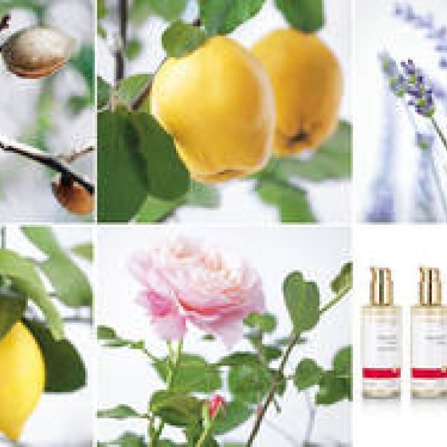 Dr.Hauschka｜香りと使用感にこだわった好みで選べるボディミルク ギャラリー