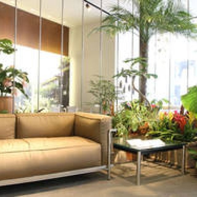 Cassina ixc.｜2012年新作展示「URBAN JUNGLE」開催 ギャラリー