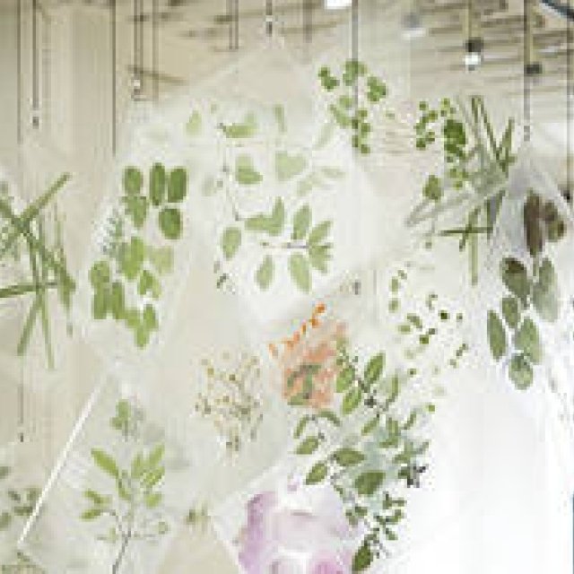 EAT | A New Sensory Herb Tea: Taste with Your Eyes, Savor with Your Tongue Gallery