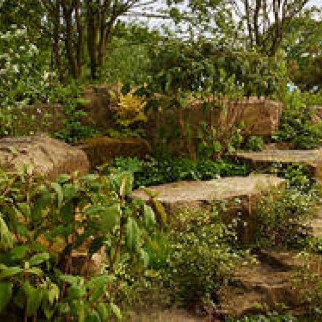 Laurent-Perrier Wins "Best in Show" at RHS Chelsea Flower Show 2015 | Laurent-Perrier Gallery