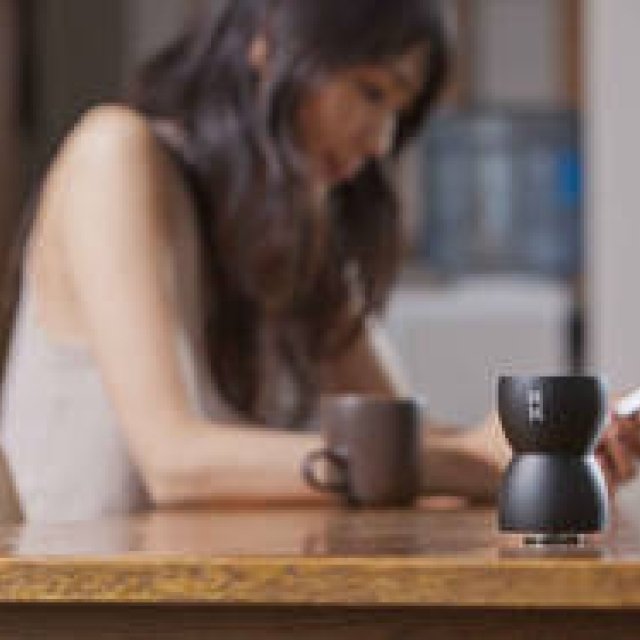 Vibration Speaker That Turns "Anything into a Speaker" Arrives for the First Time | BASS EGG Gallery
