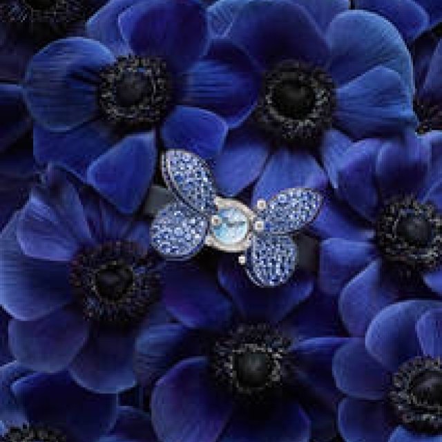 Baselworld 2016 Announcement: Sublime New Collection | GRAFF Gallery
