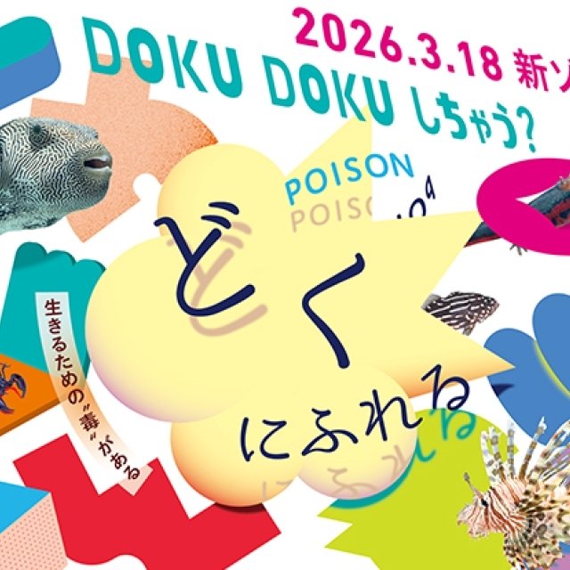 ニフレル開館以来初となる、“毒”にフォーカスした新ゾーン 「どくにふれる」2026年3月18日(水)誕生！