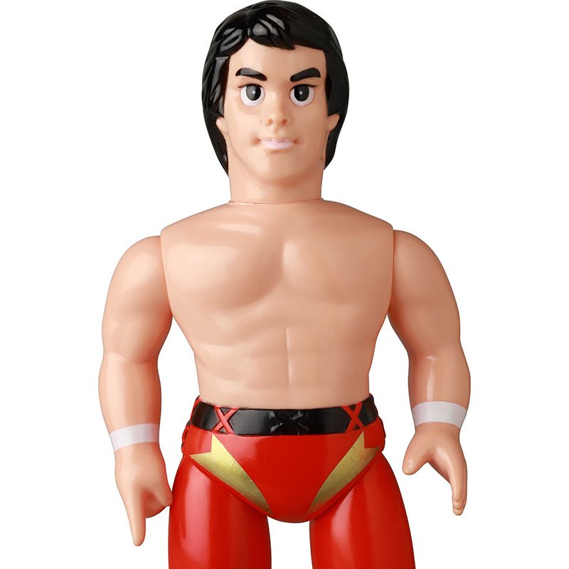 U.W.F.40周年記念イベント『無限大記念日』にてレジェンド選手たちの