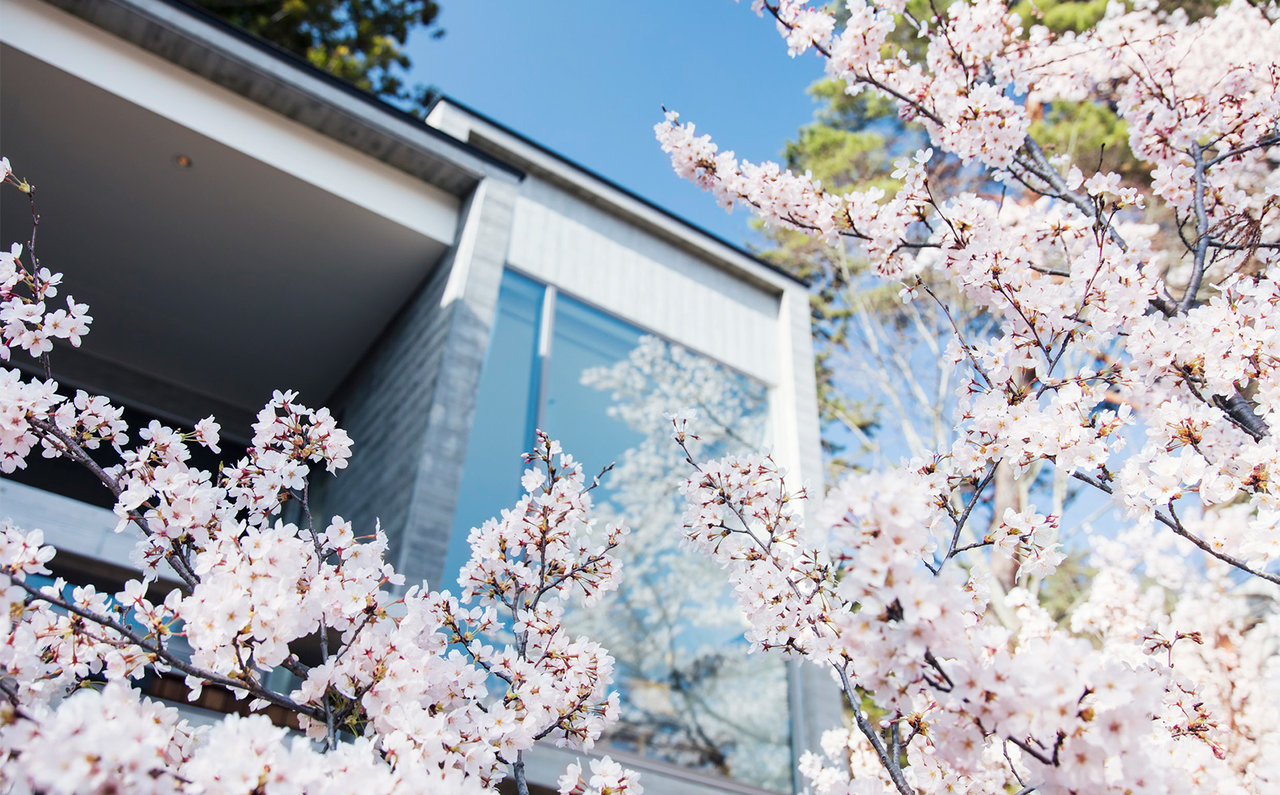 HOSHINOYA Fuji: Cherry Blossoms and Cabin Exterior