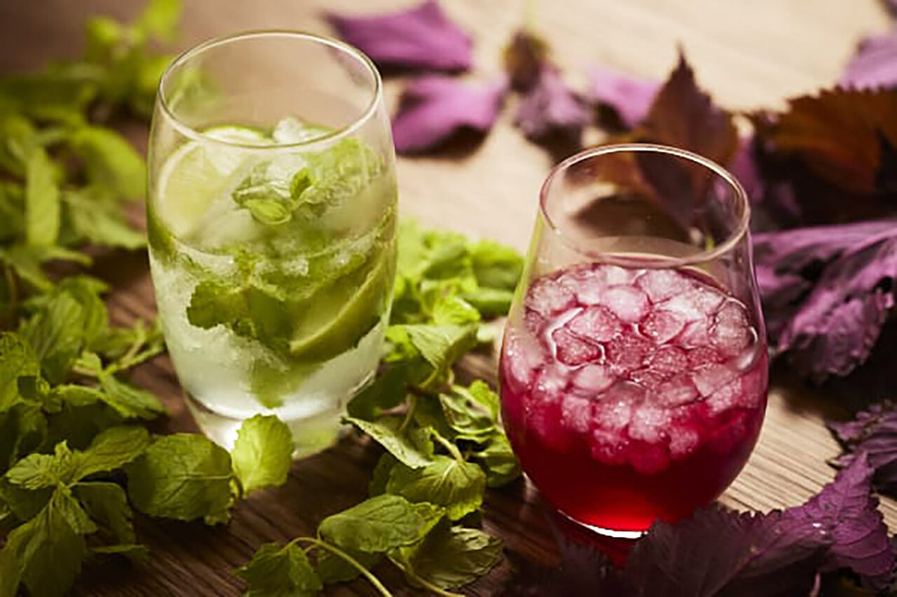 Agri Beer Garden: Enjoying the cool evening air in open-air private seating | TRAVEL