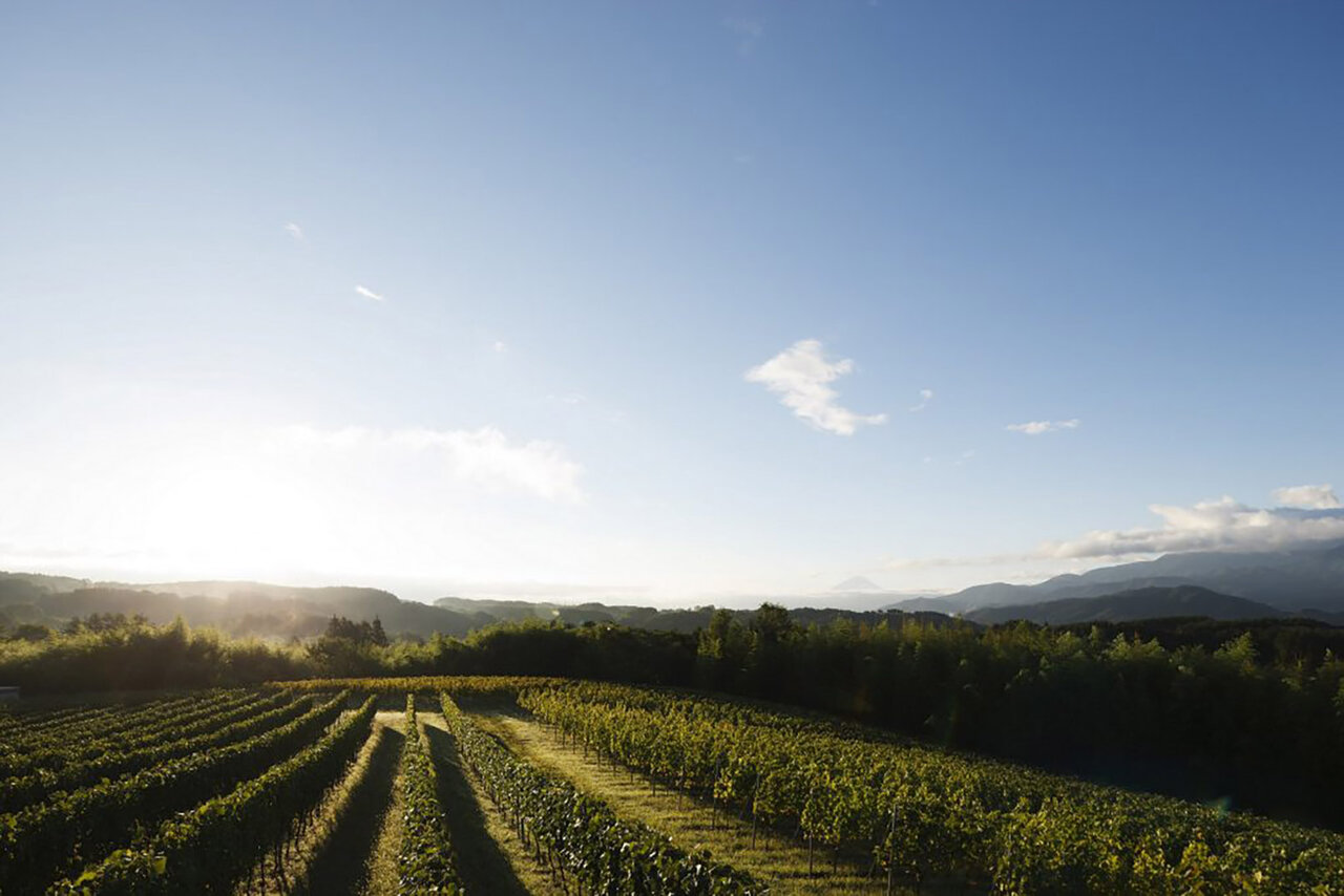 Domaine Mie Ikeno Millésime Offered Exclusively to Guests | TRAVEL