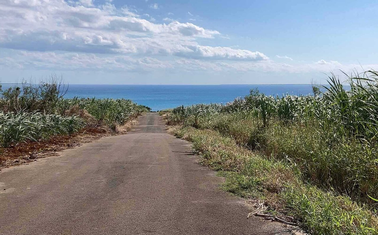 Almost like going abroad! An overwhelming sense of the extraordinary. Island hopping among the Yaeyama Islands, starting from Ishigaki Island, Okinawa. | TRAVEL