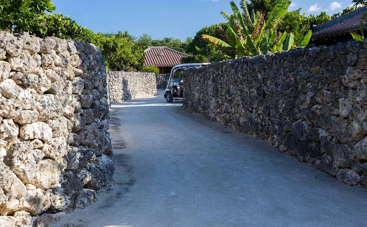 An invitation to a premium "food education" for adults, learning and savoring the history and culture of Taketomi Island!｜TRAVEL