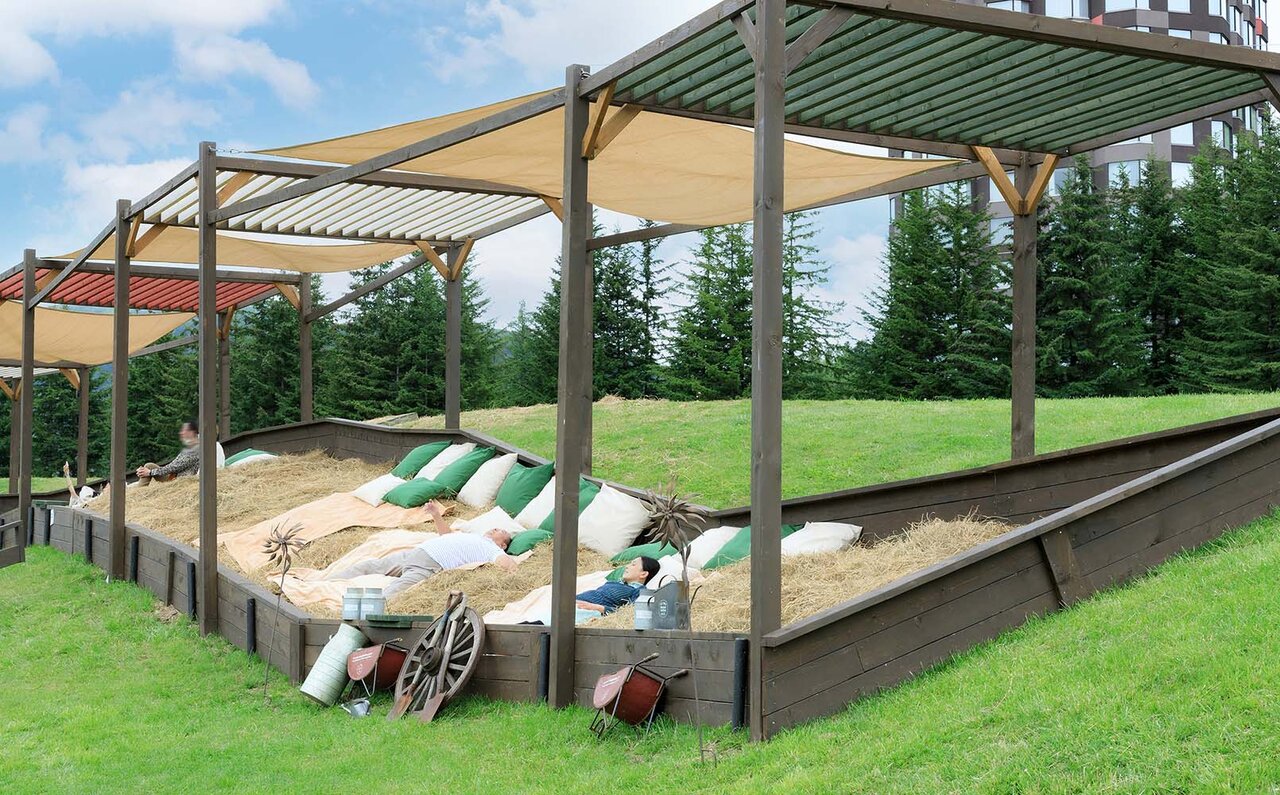 北海道感ほとばしる、 雲海、ファームエリア、ナチュールワイン。夏トマムを満喫するTO DOリスト｜TRAVEL