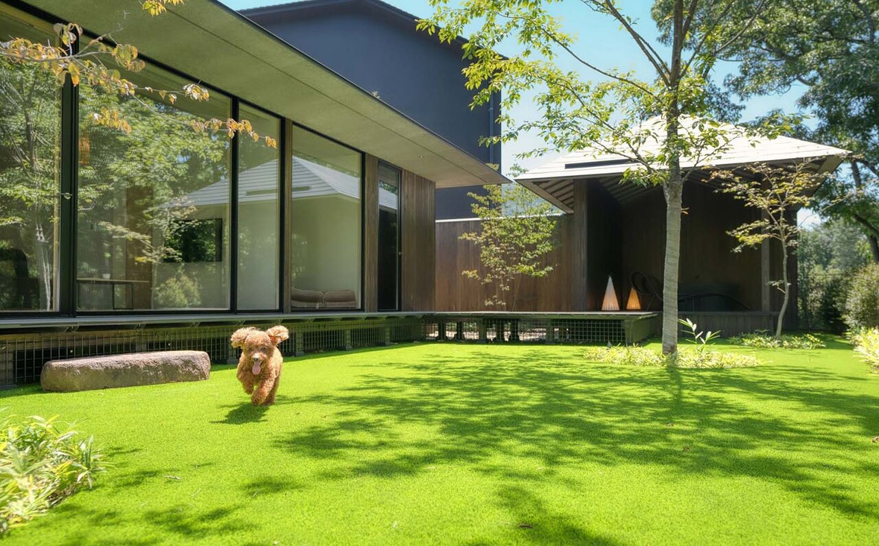 A collaboration between Starflyer and Hoshino Resorts to support travel with your dog | TRAVEL