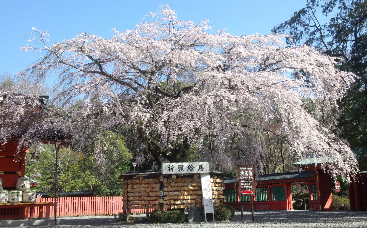 The Ultimate Pilgrimage. Timeless History and Nature, Felt Firsthand | TRAVEL