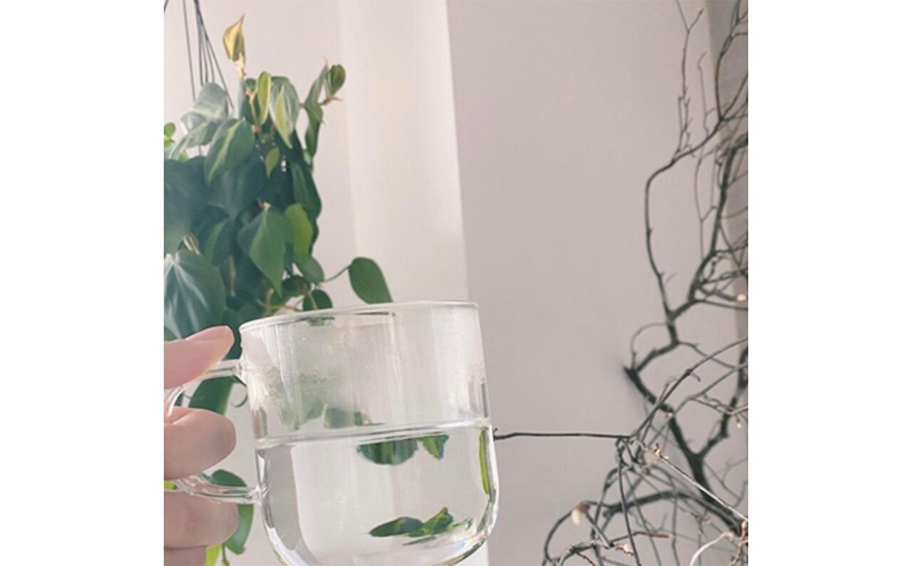 今回は白湯の魅力についてお話ししたいと思います｜BEAUTY
