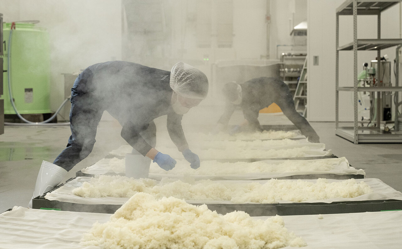 これが生酒！　これがフレッシュ!!　鮮度命の繊細さが澄み渡たる、純米大吟醸の真骨頂｜FEATURE