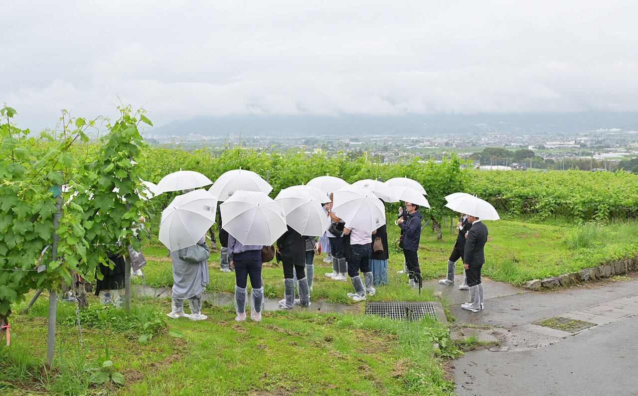 畑を愛でて、ワインを楽しむ。星野リゾートがプロデュースする日本屈指のワインツーリズム｜TRAVEL