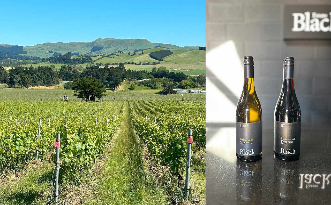 Post-Pandemic Adult Travel: New Zealand, Where Comfortable Human Connection Reigns Supreme! | TRAVEL