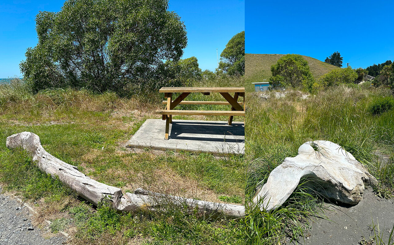 Feeling the Earth's Breath in Kaikoura, New Zealand's South Island | TRAVEL