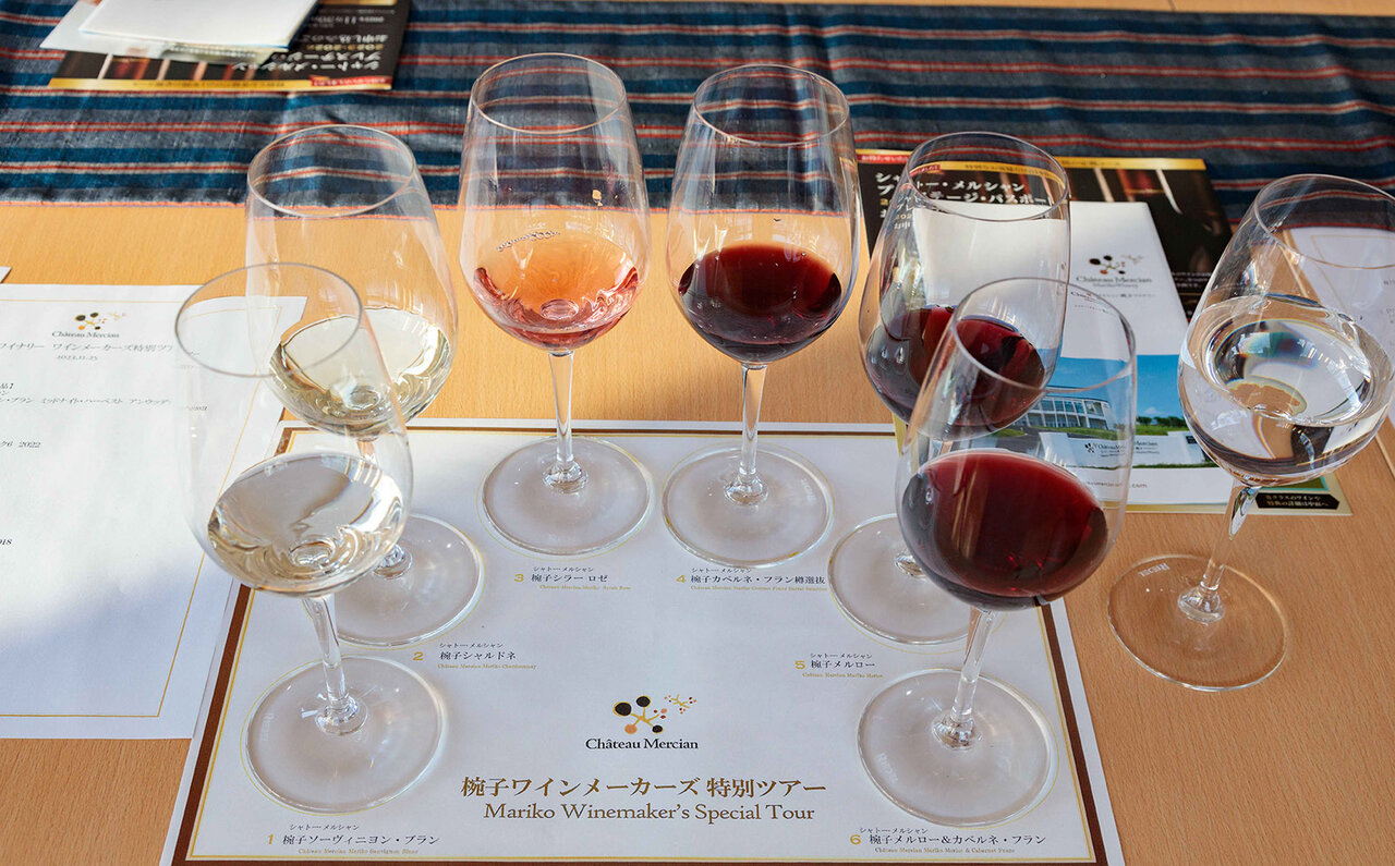 長野のテロワールを現地で感じて、脳で飲むワインがサイコーなのです！｜TRAVEL
