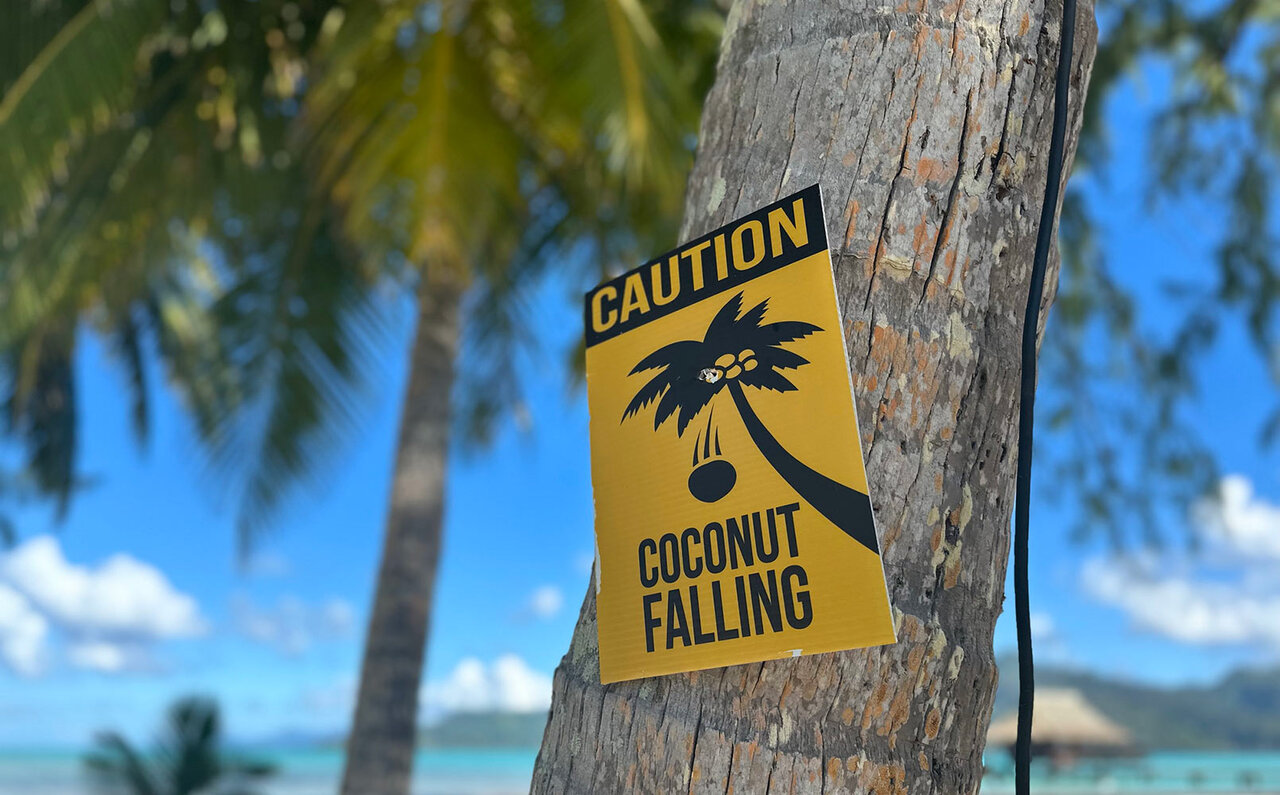 Part 1: Fun Even for Non-Honeymooners! Tahiti, a Primal Paradise with Open Arms