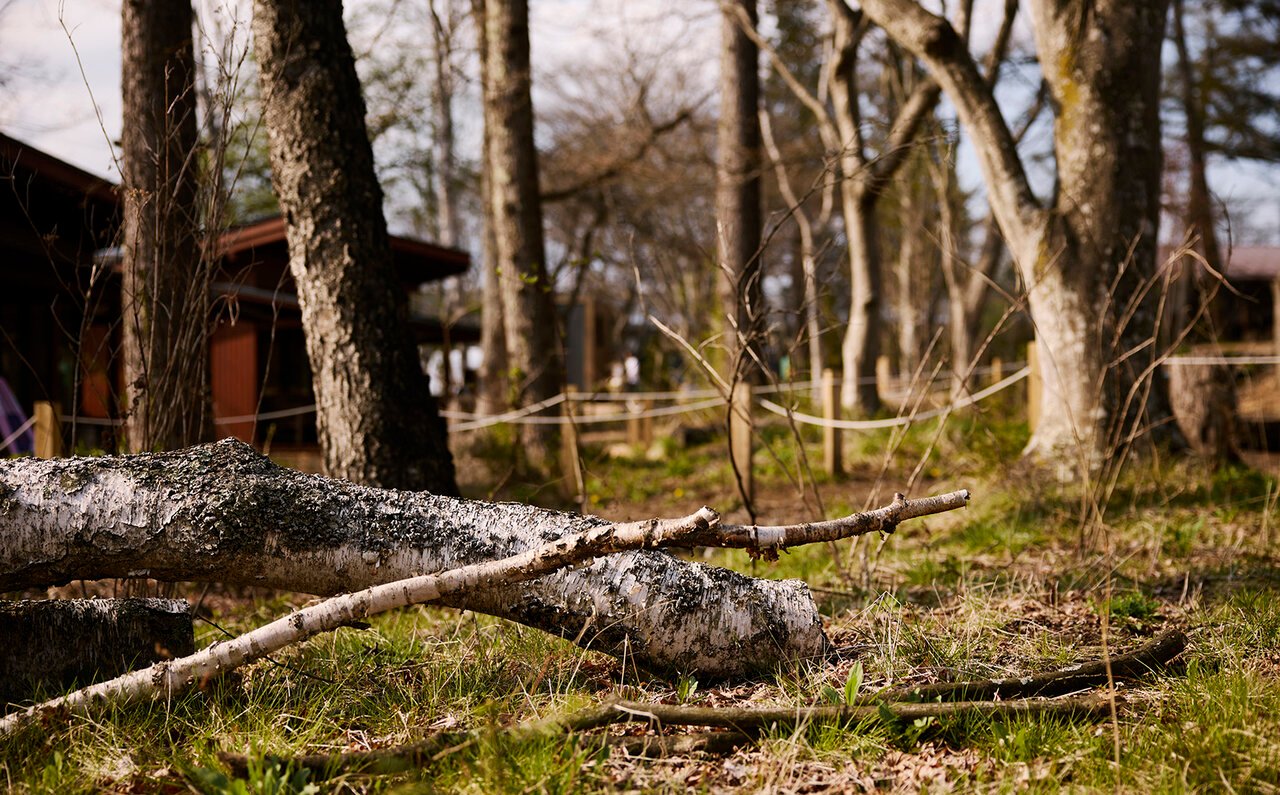 Discovering Scent Memories in the Greenery. Le Labo on Wheels is parked in Karuizawa