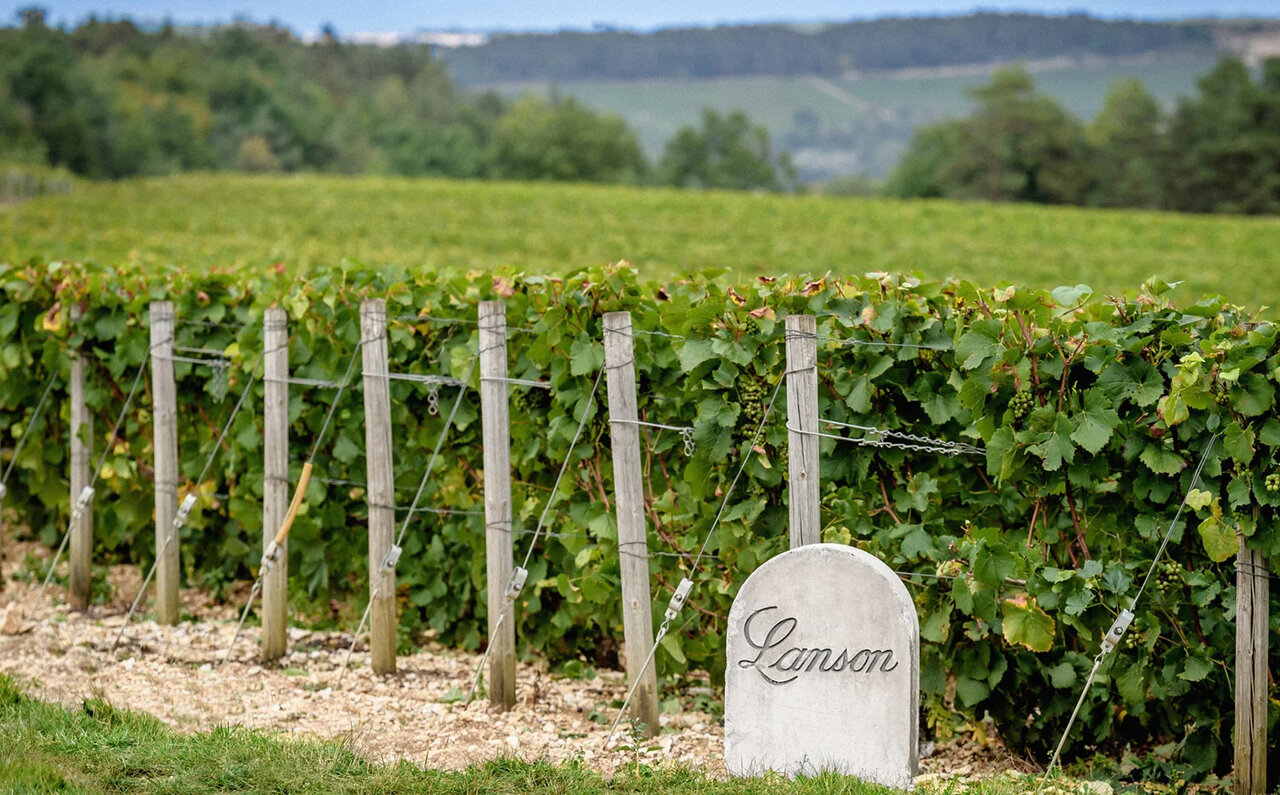 Lanson