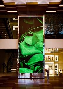 Traces of Disappearance 06