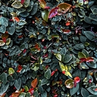 Patterns in Discontinuity 02
