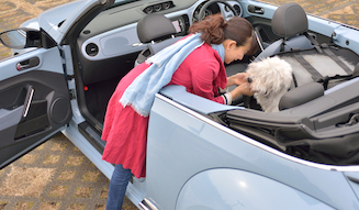 The Beetle Cabriolet meets FUJIWARA Michiko 03